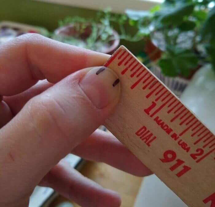 This Person Was Hand Sewing And Didn't Want To Hold The Ruler Anymore