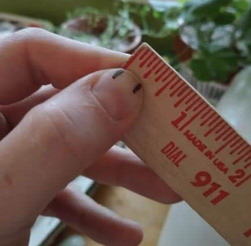 Turn Your Thumb Into a Ruler