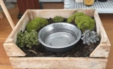 Keep Your Dog's Drinking Area Permanently Clean