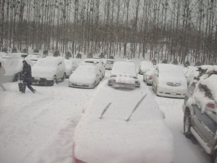 No Matter the Weather