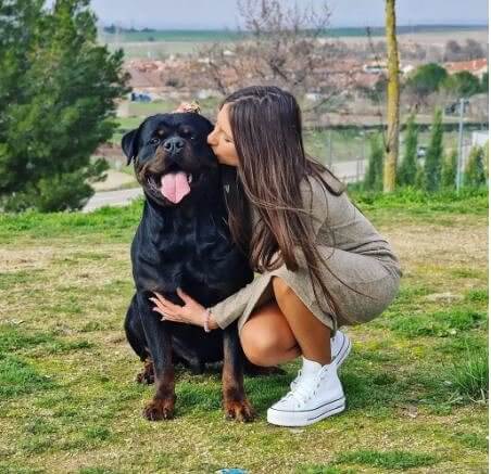 Hol dir einen Hund, der dich beschützt