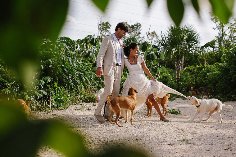 Who Let The Dogs Out?