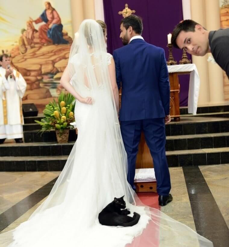 Someone Tell The Cat That Three's a Crowd