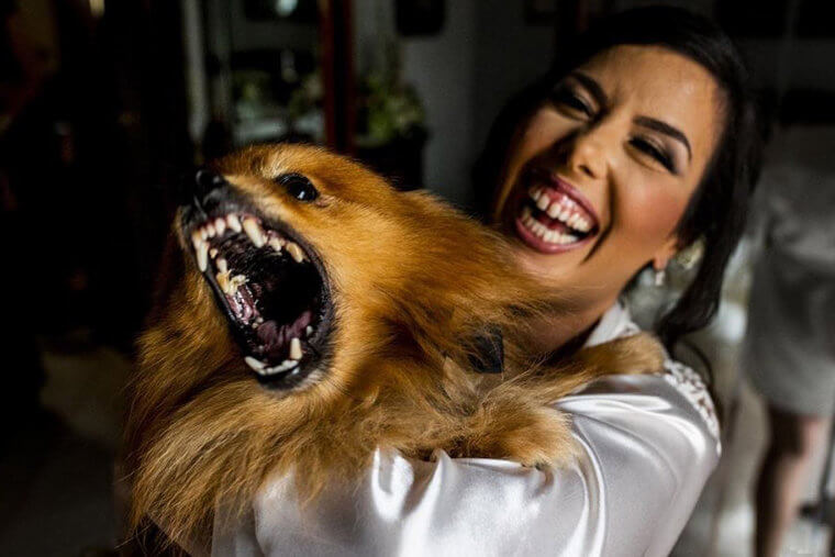 Man's Best Friend, Right?