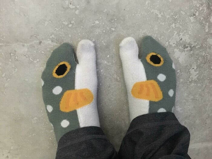 Don't Have Room For A FIsh Tank? Try These Fish Socks!