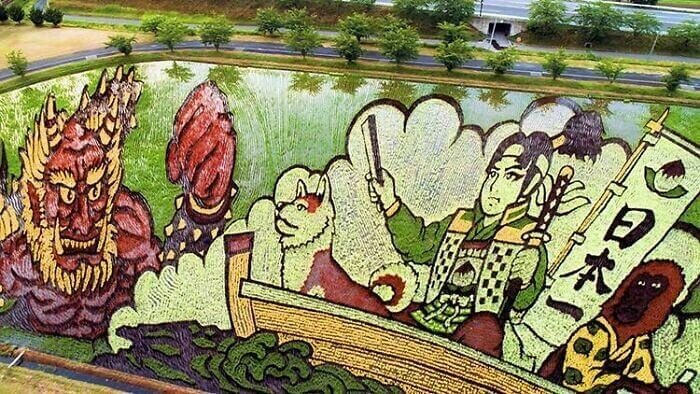 Japanese Rice Farmers Plant Colored Rice To Create Art