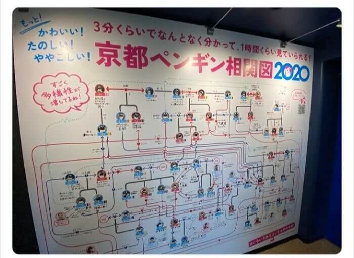 Penguin Soap Opera In Kyoto Aquarium