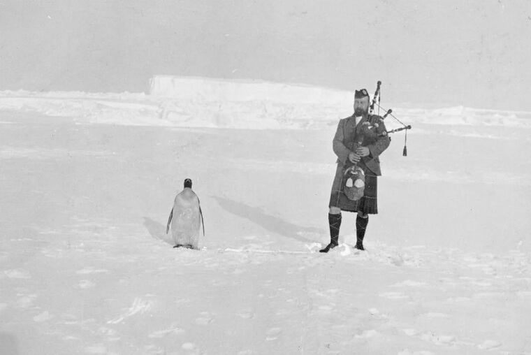 A Bagpiper and a Penguin Meet in Antarctica—And It Actually Happened