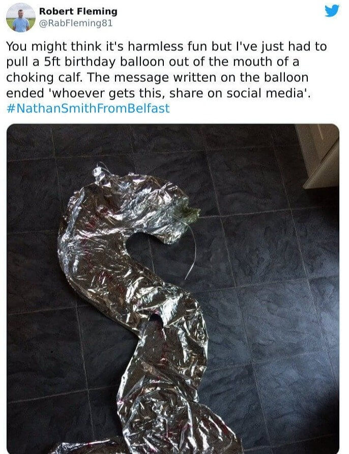 A Random Balloon Almost Choked This Rancher's Cow