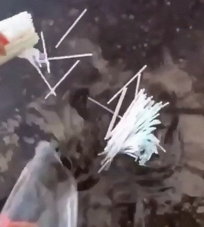 This Guy Really Doesn't Care About the Turtles