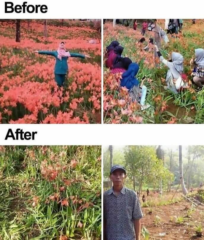 This Man's Flower Field Got Trampled for the Gram
