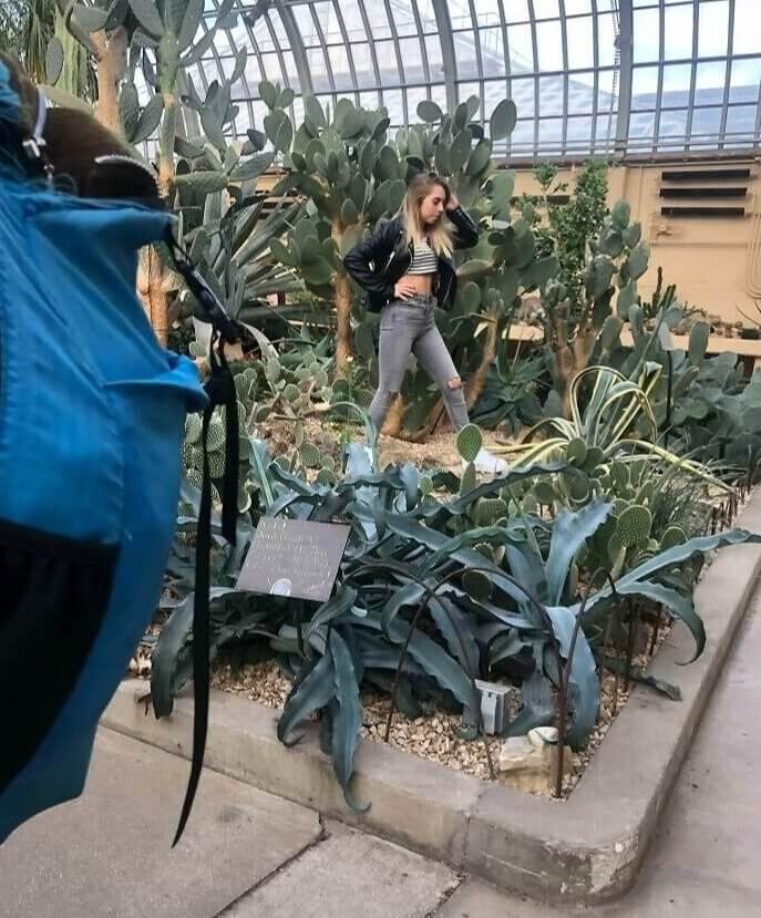 That Sign Says "do Not Step on Plants"