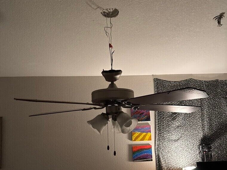 Ceiling Fan Installation