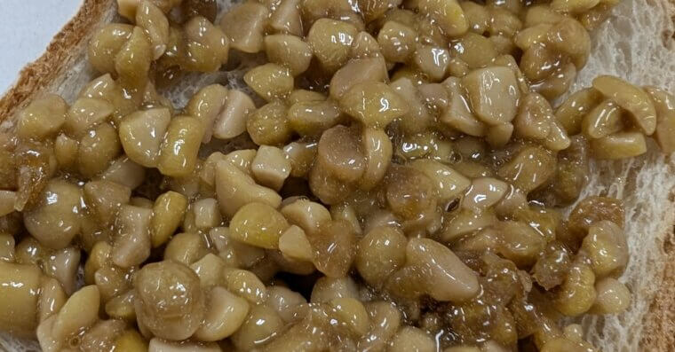 Natto