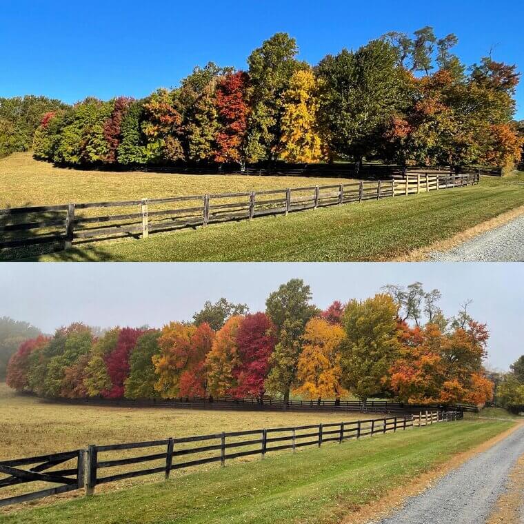 5 Days Seasonal Transformation