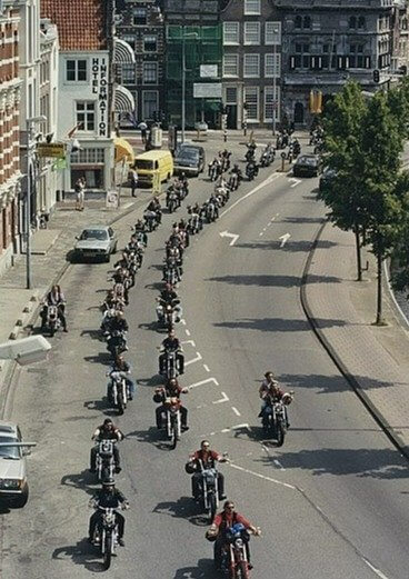 They Must Follow the Rules, or Else