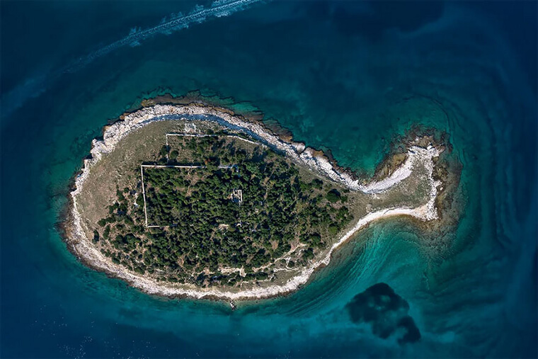 There's Something Fishy About This Island