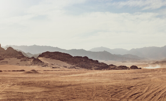 Des Découvertes Intéressantes Dans Le Désert