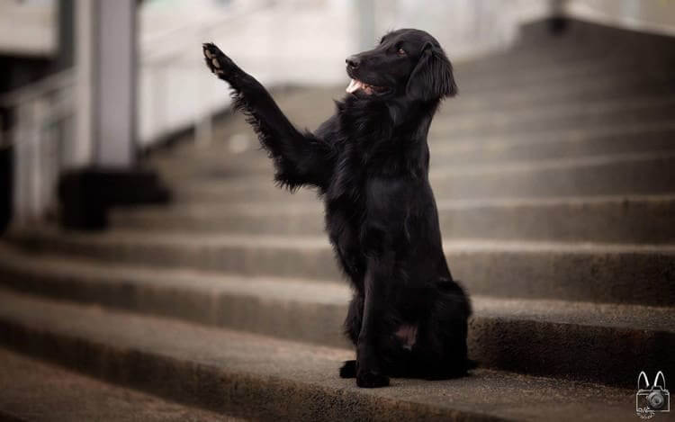 Don't Be Rude, Say Hi!