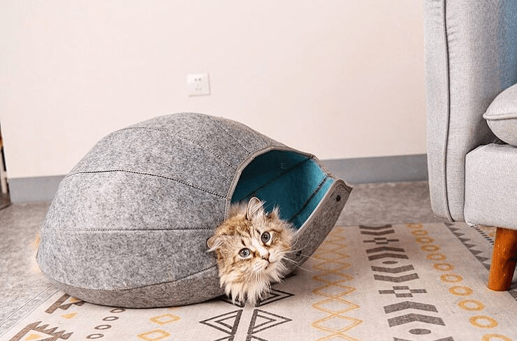 Give Your Cat A Retreat For Maximum Comfort