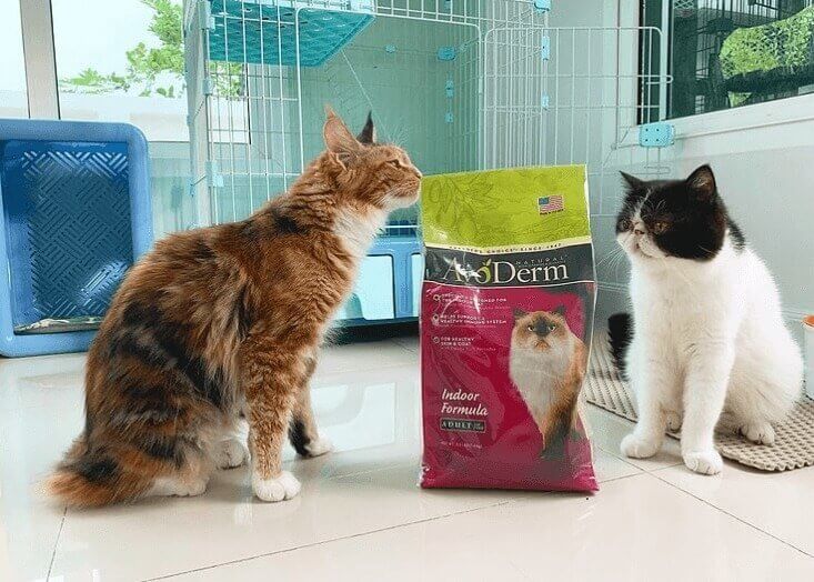 The Wise Among Us Keep Food and Snacks Sealed