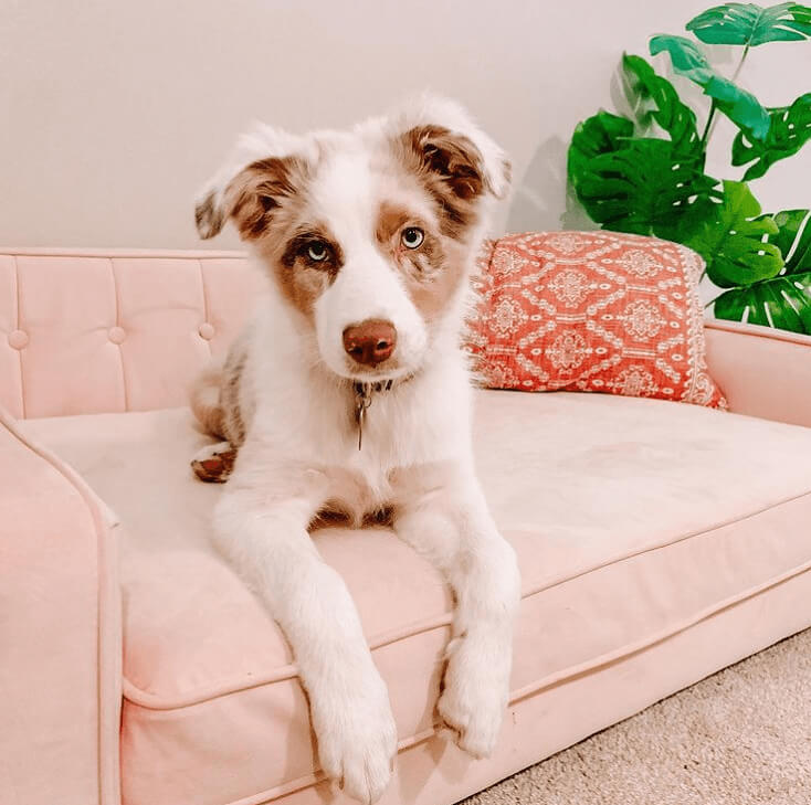 Decorate Your Apartment Strategically, But Don't Give Up On Style