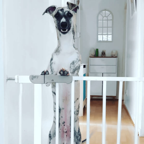 Baby Locks In Kitchens And Bathrooms Are A Pretty Smart Hack