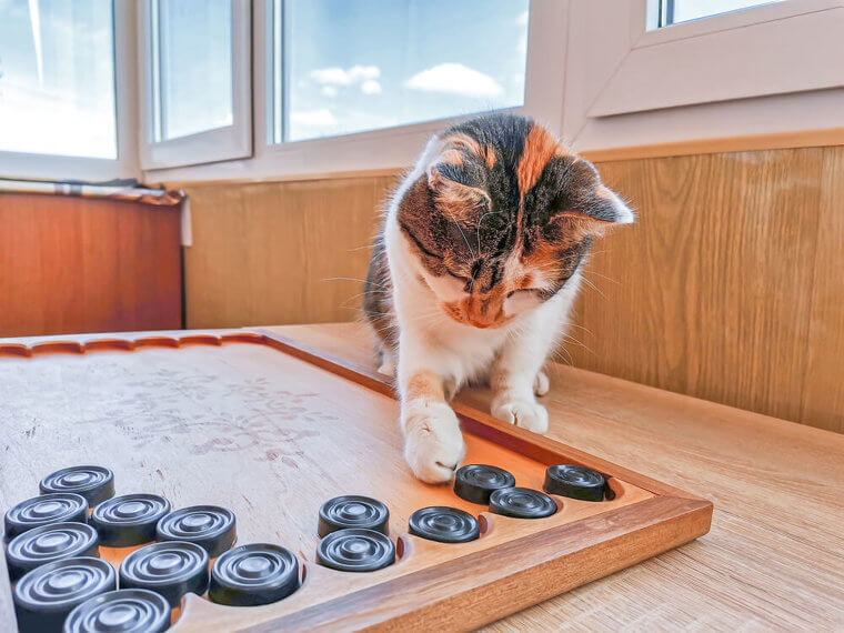 Put Those Board Games Away, Please