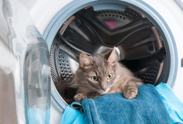 ​​​​​​Always Double Check The Dryer Before A Cycle, People