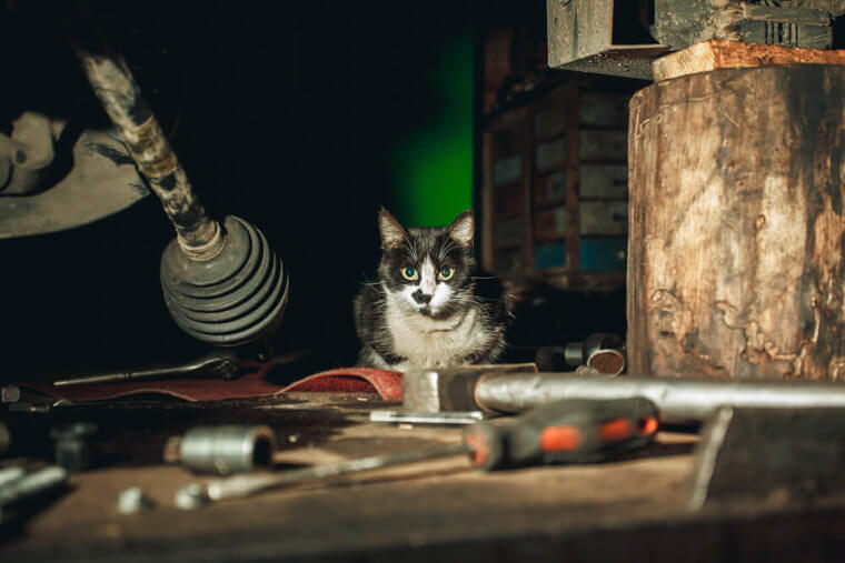 Dark Garages Are Hazards, Obviously