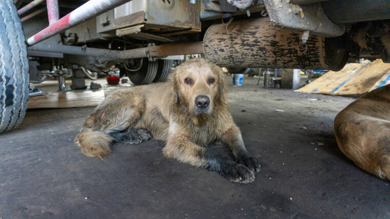 Cleaning The Garage Floor Is Just Common Sense