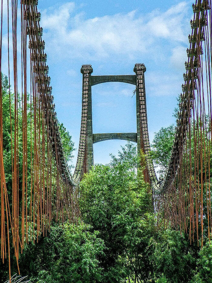 An Entire Bridge Was Abandoned In New Zealand And The Forest Took Over It