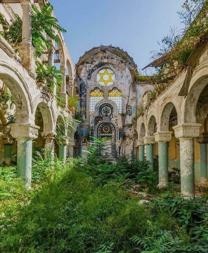 A Stunning Abandoned Synagogue Transformed By Nature