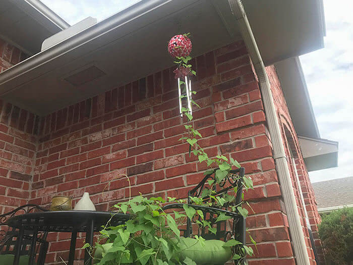 The Vine Climbed Up A Chair To Silence My Wind Chime