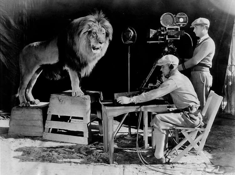The Real MGM Lion