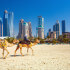 Dubai Travel Guide: 14 Things That Might Surprise First Time Visitors