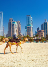 Dubai Travel Guide: 14 Things That Might Surprise First Time Visitors
