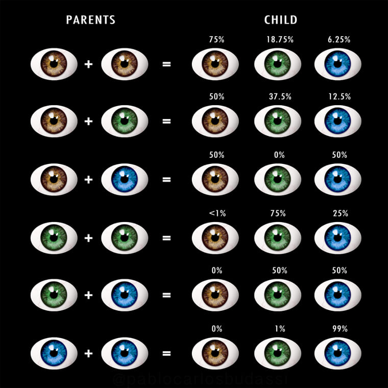 Nous n'oublierons pas ces études de sitôt