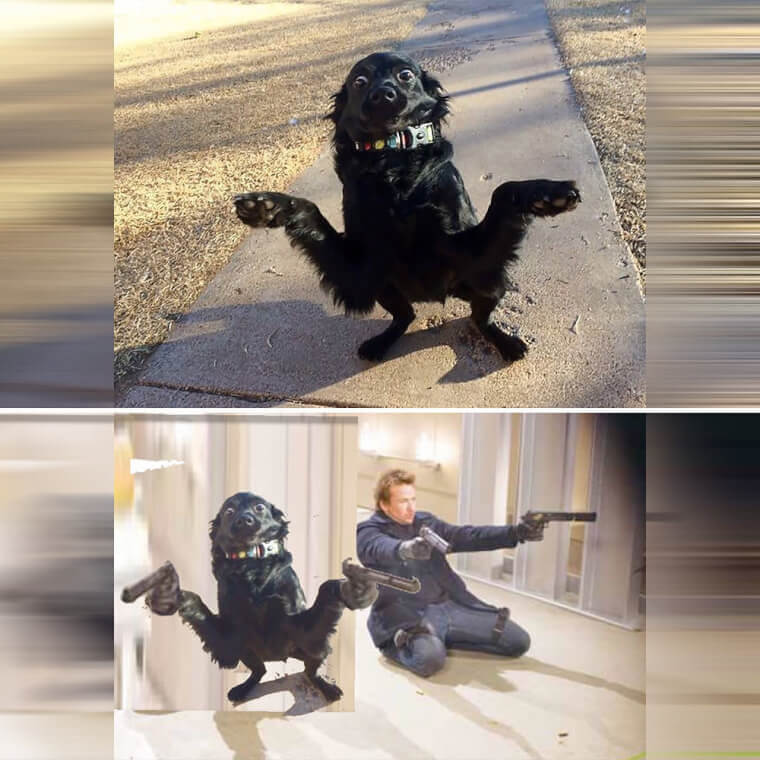 Treats in The Bag, Yes, Put Them All in The Bag’