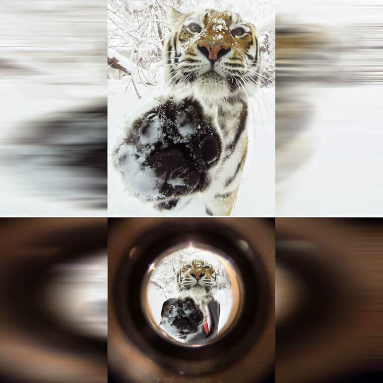 Disney’s ‘Death of a Salesman’