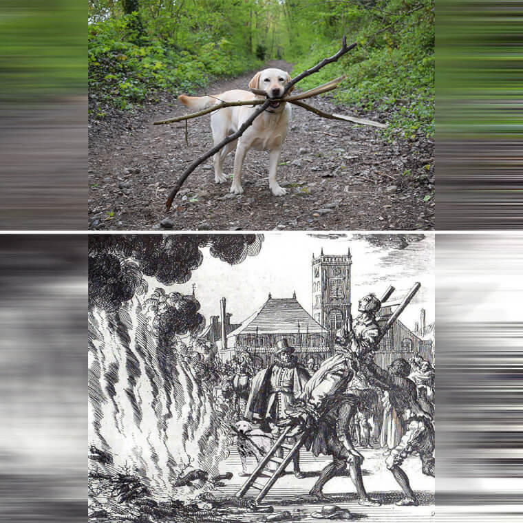 I’m Just Here to Help’