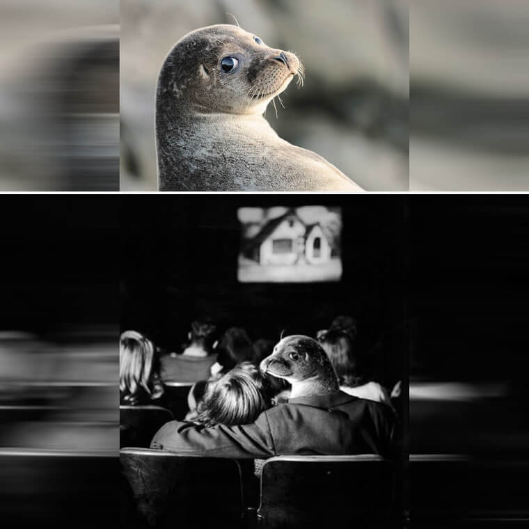 He’s Gonna Seal Your Girl'