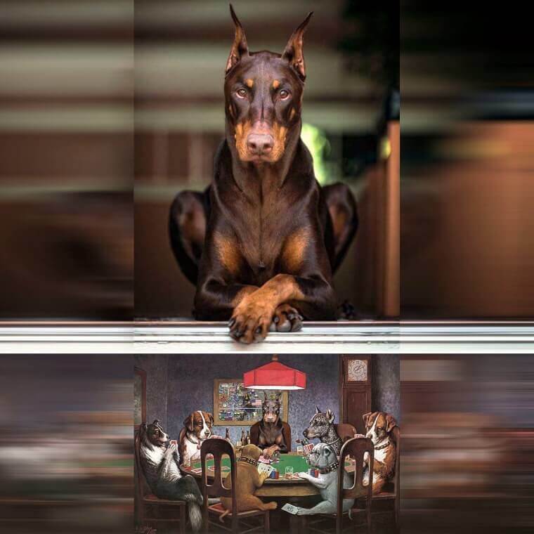 Underground Poker Game