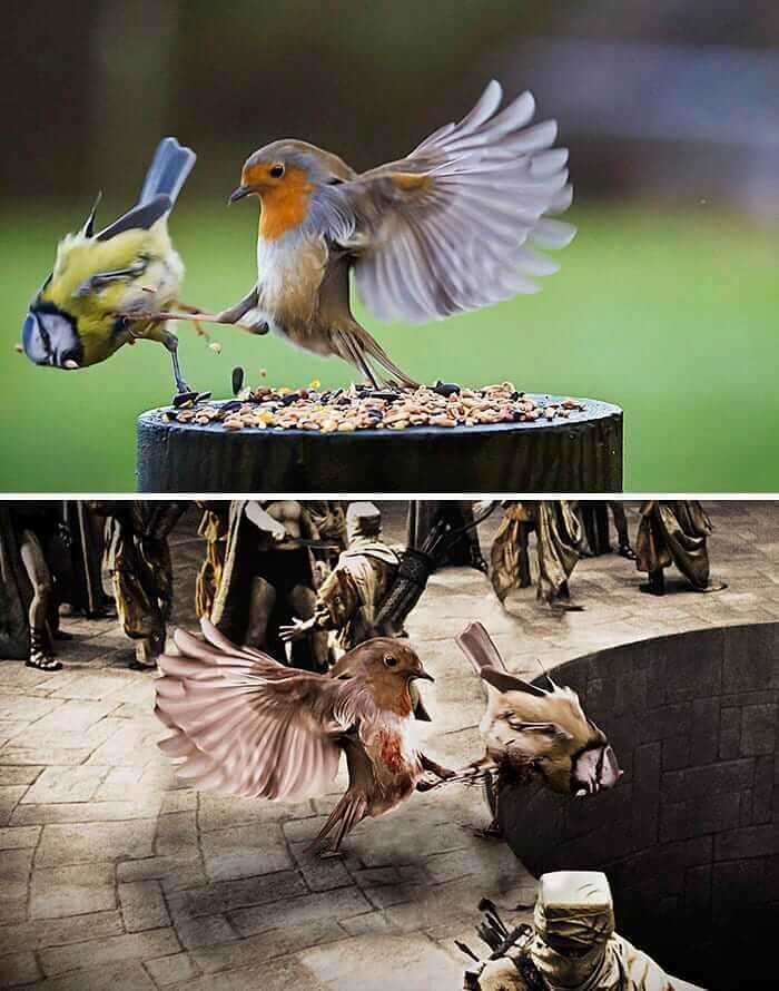 "This is Sparrowland"