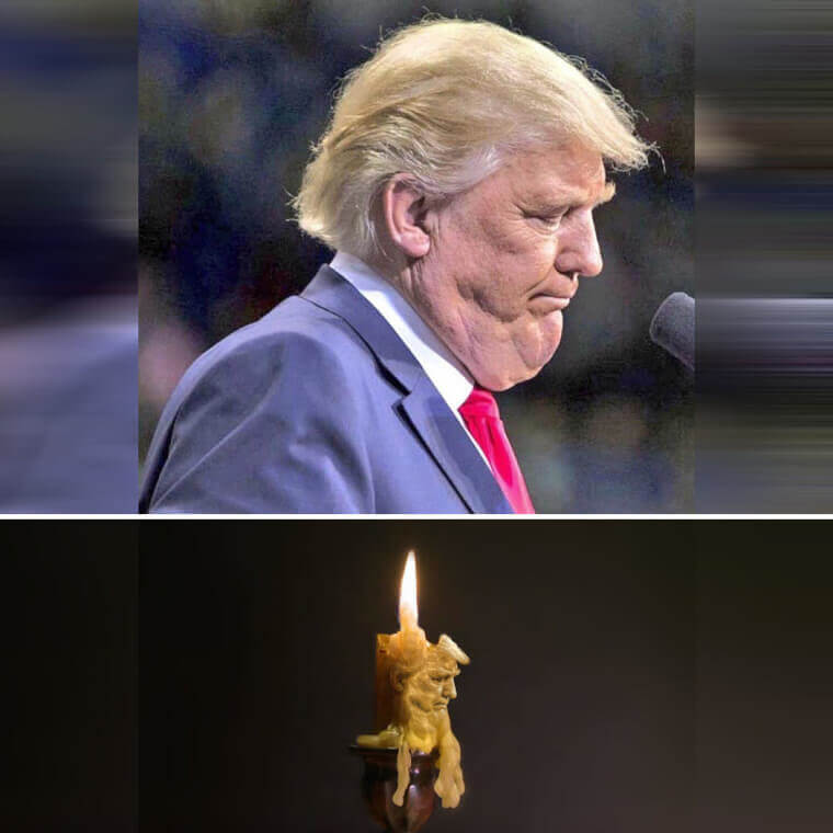 The Unflattering Picture of Donald Trump