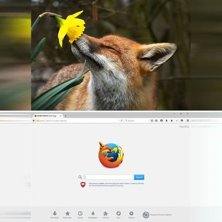An Icon Mozilla Firefox Needs to Use