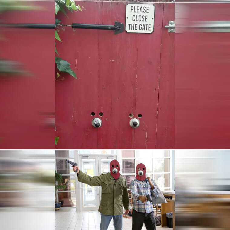 From House Dogs to Bank Robbers