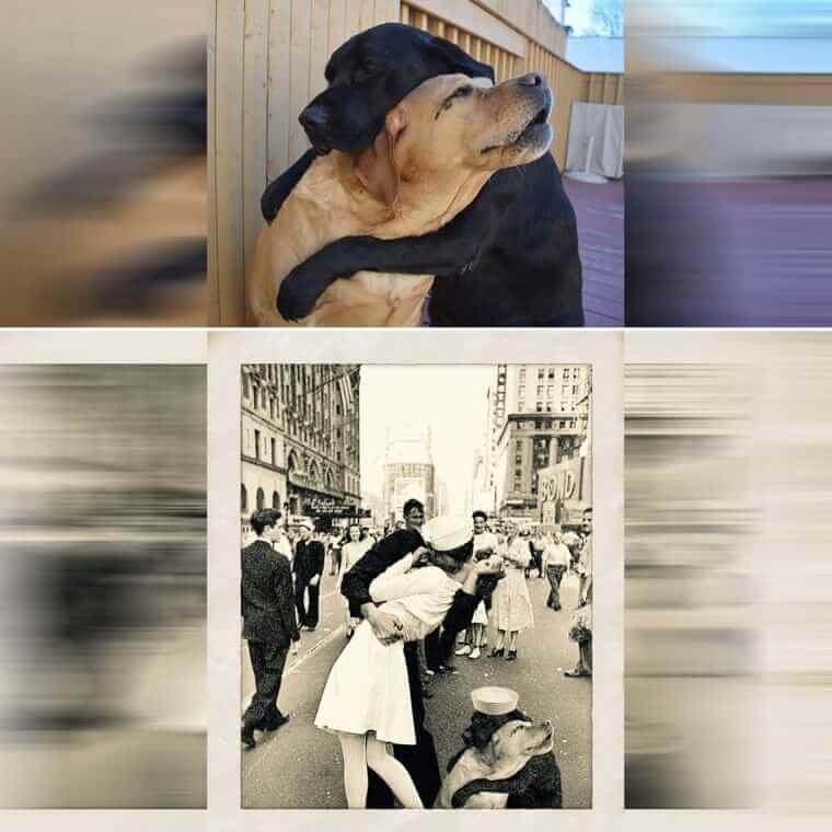 Meeting After a Long Time