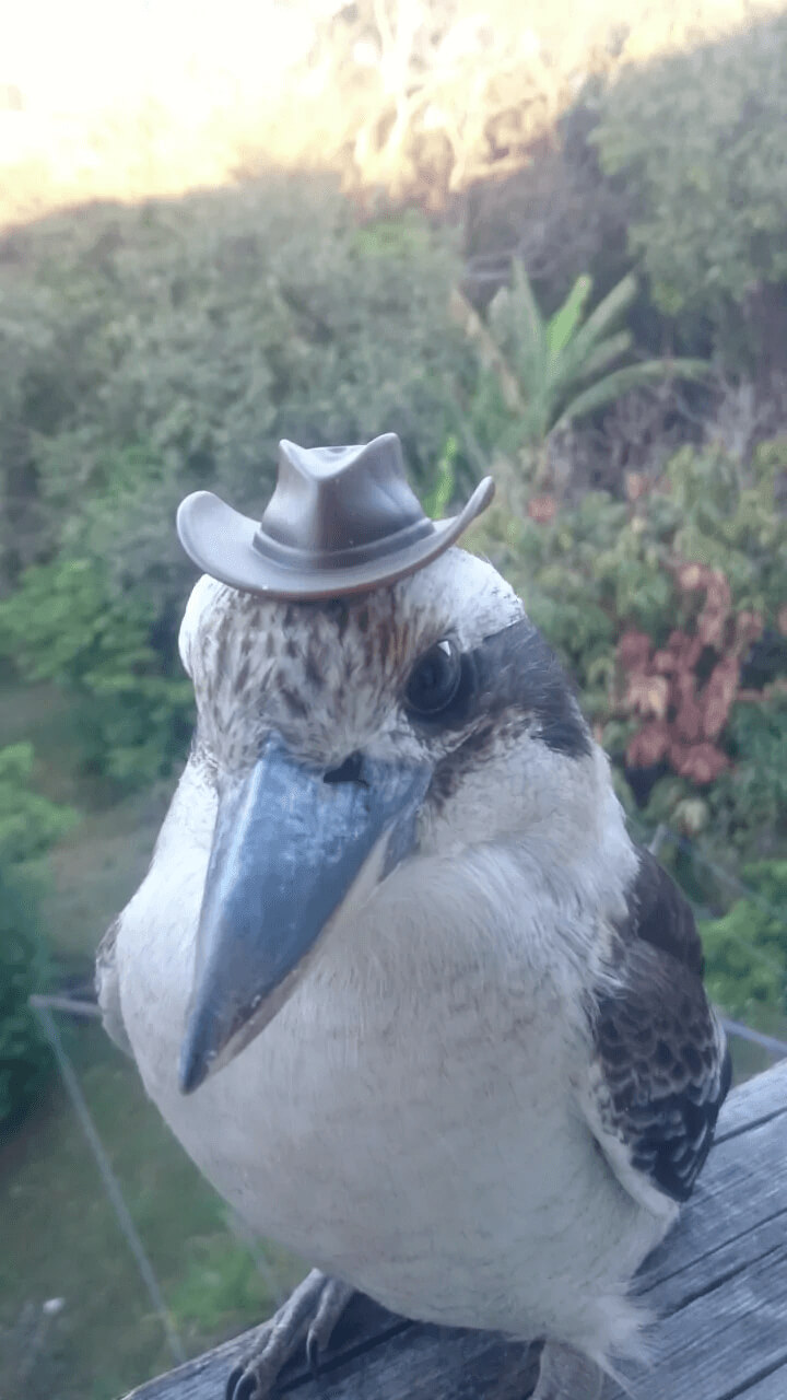 Many Years Of Trustbuilding Paid Off