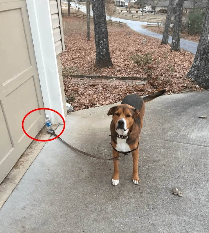 Escaping Is For The Weak Ones